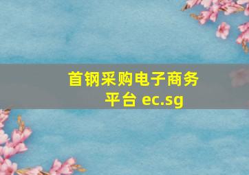 首钢采购电子商务平台 ec.sg